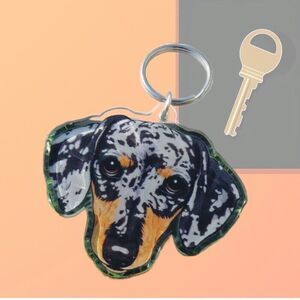 Multicolored Dachshund Dog Acrylic Keyring Keychain Key Ring
